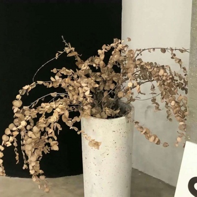 Furry插画氛围营造干货福瑞群